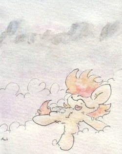 slightlyshade:  A young Spitfire takes a