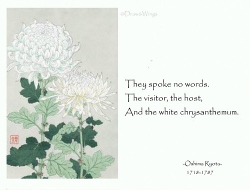 terracemuse:and the white chrysanthemum.