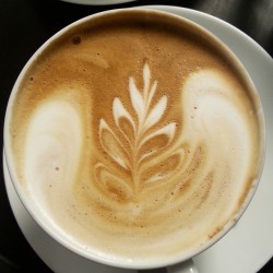 Medium latte made with whole milk. Espresso