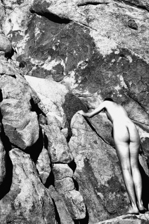 optichron:  Joshua Tree, California | 2016 | © Mitch Cullin Site | Saatchi  | Amazon | FB | Photobooks | Black Book Studies 