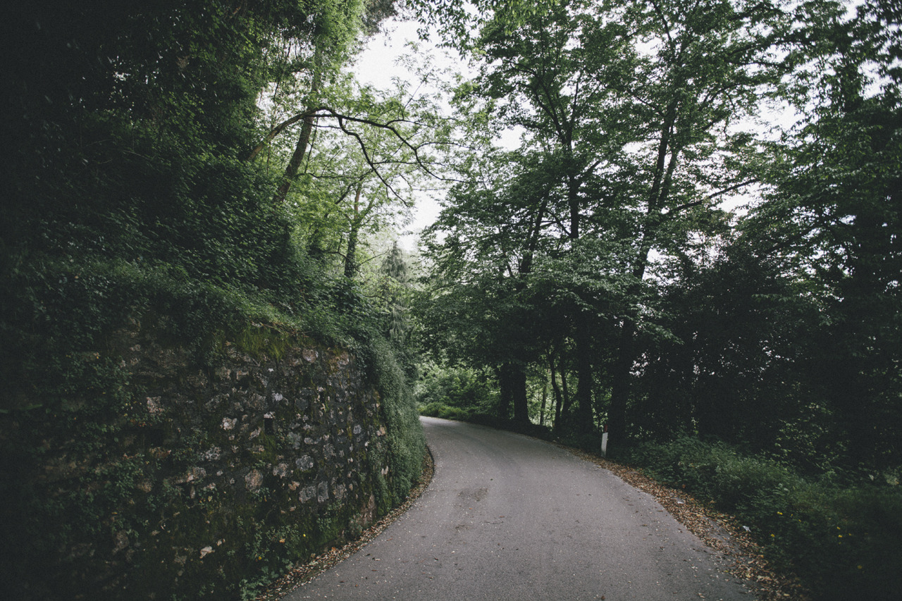 elenamorelli:  { the road to the nearest hill } 