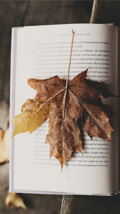 Autumn Lockscreens //