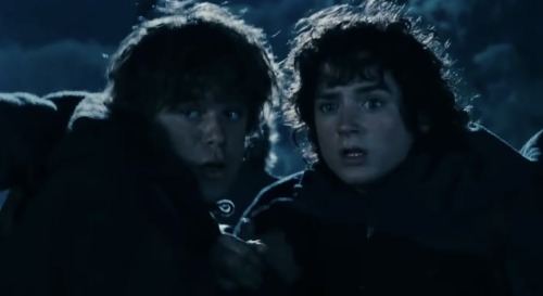 Love Catching This Little Moments Of My Two Little Hobbits Holding Each Other In Moments Of Fear