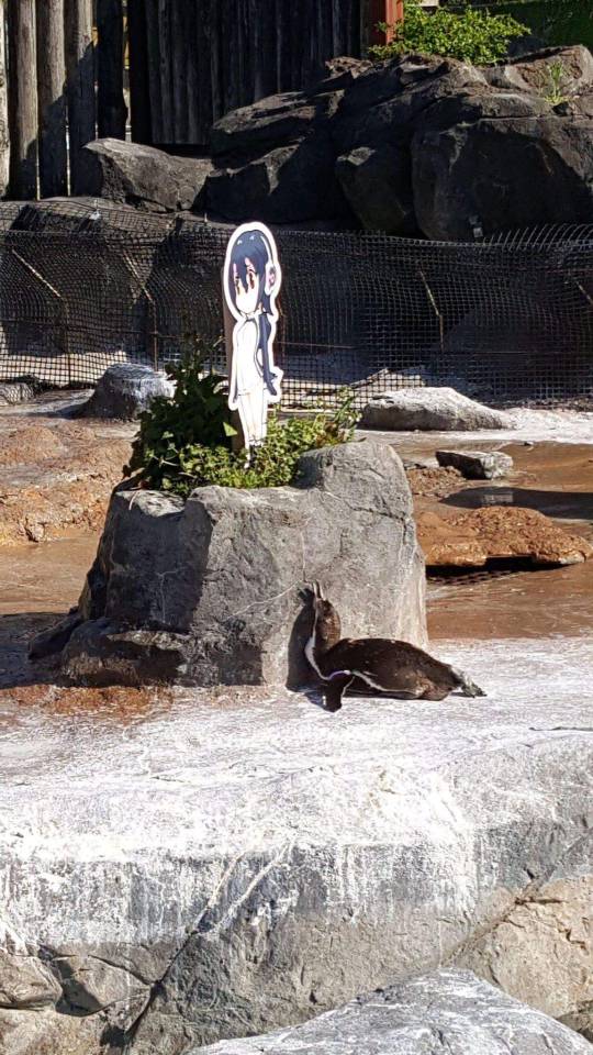 Grape-kun Left Our World Two Years Ago, But He Has Not Left Our Hearts.