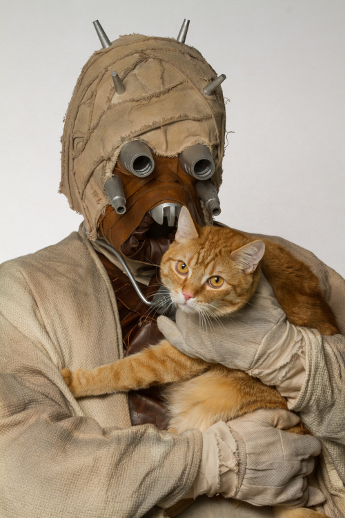 mostlycatsmostly:  Representatives of the 501st Legion: Capital City Garrison volunteered some time to pose with adoptable Ottawa Humane Society shelter animals.Happy Star Wars Day! May The Fourth Be With You!Photo Credit   The.Rohit