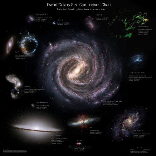 electricspacekoolaid: Dwarf Galaxy Size Comparison Chart A size comparison of .. well Dwarf Galaxies