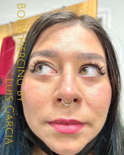 Upgraded this healed septum to a 14kt white gold clicker from #junipurrjewelry #junipurrproteam #pie