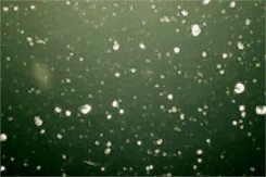 I can´t be like this anymore