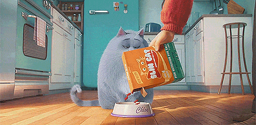 tastefullyoffensive:  Video: ‘The Secret Life Of Pets’ Official Teaser Trailer