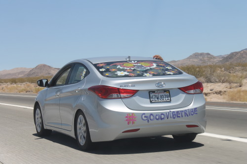 kenleemo:  EDC Post #2: On the road to EDC…all of the beautiful people I saw on the road with me! There were probably twice as many, but I didn’t get pictures of everyone. But if you saw an Infiniti passing you up honking with a white girl waving