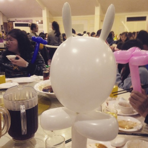 #none #face #rabbit