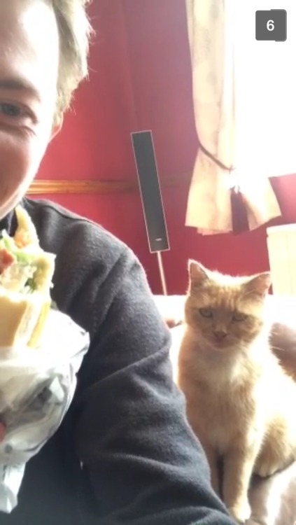 So my left arm went home yesterday and I got some snapchat videos from him this morning…he was tormenting his cat with his sandwich and I could hear Tom laughing while he was doing it and it made me tear up slightly, just knowing I’m not