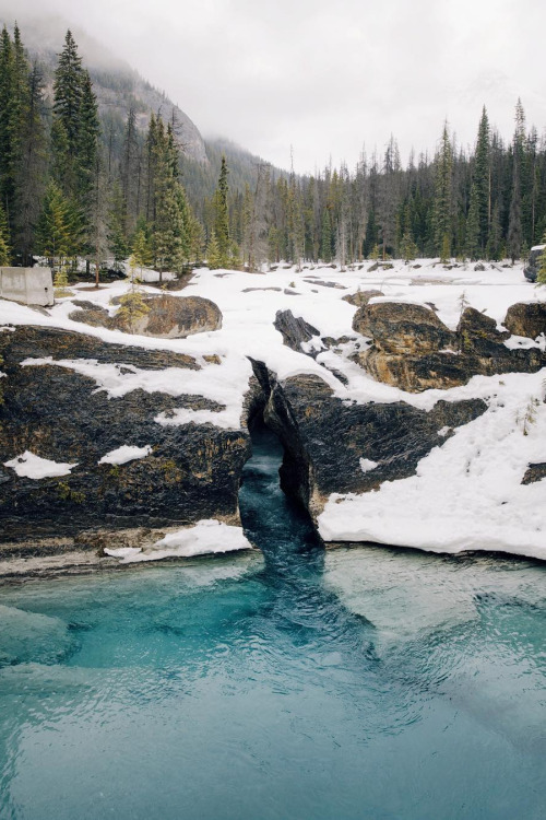 banshy:Yoho National Park // Alex Strohl