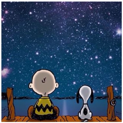 adr078:  #BuenasNoches #Peanuts #CharlieBrowm #Snoopy #Nites