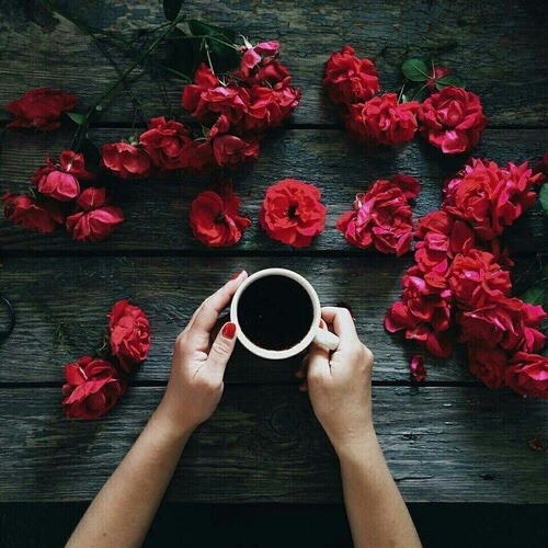 aesthetic