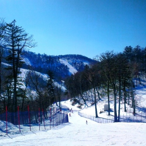 n9nlinear:  Backside #china #jilin #changbaishan #wanda #ski #resort #skiing #mountains #trees #snow