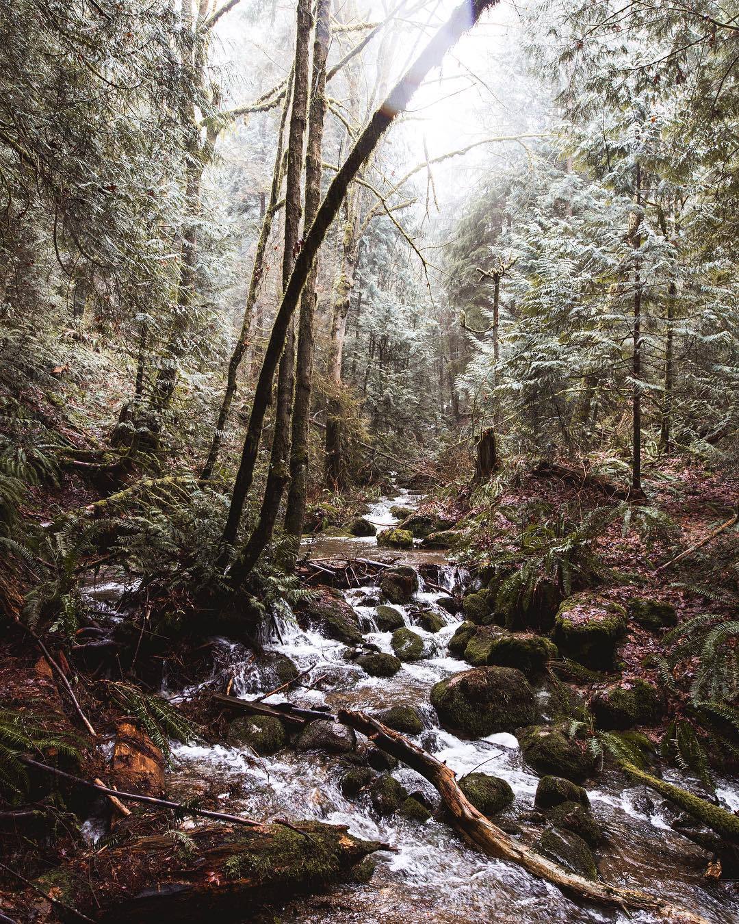 earthlygallery:  Bellingham, Washington by Mason Prendergast