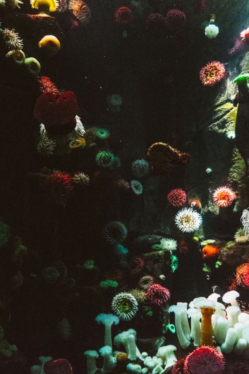 expressions-of-nature:by Scott Webb