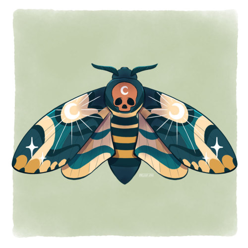 Death’s-Head Hawkmoth