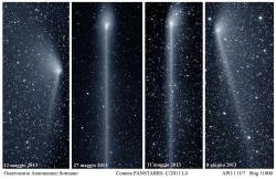 kenobi-wan-obi:  Dust Range of Comet PANSTARRs  The range of dust in comet PANSTARRS orbital plane from the month of May 2013 by Enrico Colzani