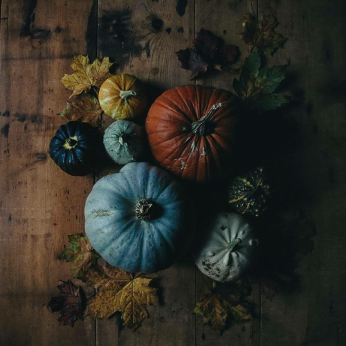 Vintage | Nature | Aesthetics | Food