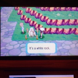 ommanyte:  Useless white rock confirmed for