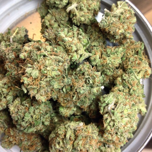 Garlic Widow, only $120 an ounce! (Today through Tuesday)