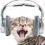 cuntheadphone