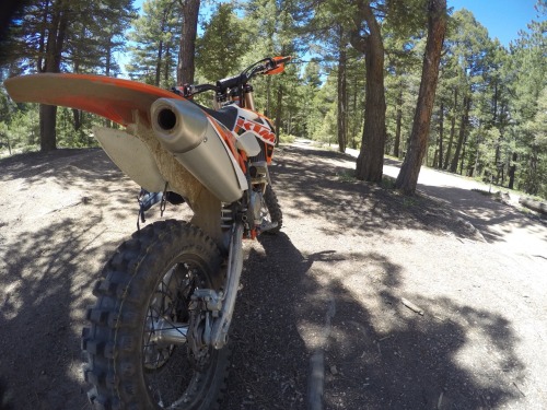 Diversifying my two wheeled adventures this year.