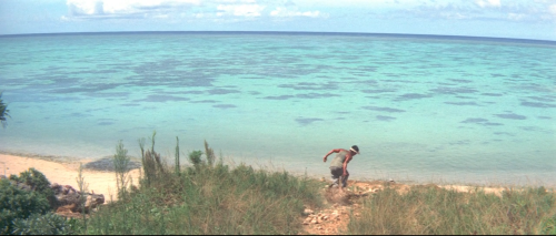 Profound Desires of the Gods (1968)Dir. Shōhei Imamura