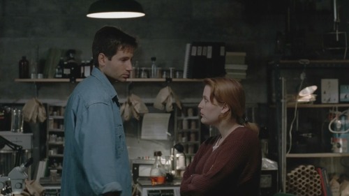 antoschauniverse:Mulder and Scully.