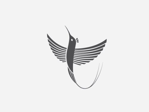 trendgraphy:  Doctor Bird by Samadara Ginige Twitter: @Trendgrafeed