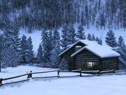 mytennesseelove:  Dreaming of a SNOWY Smoky