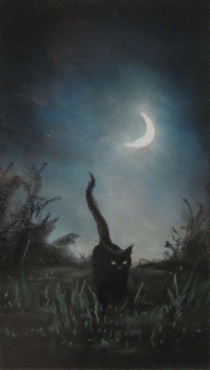 Anne Sudworth - Black Cat by Moonlight. Pastel