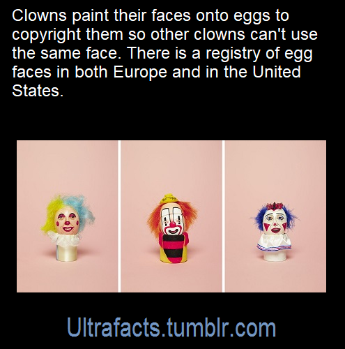 absolxguardian:starsshinedarkly77:ultrafacts:Source: [x]Click HERE for more facts!I beg your fucking