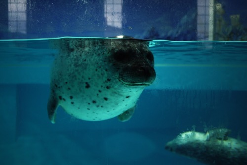 水族館