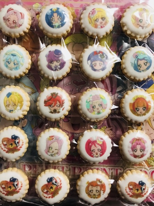 gloriousexpertcollectorme: Precure All Stars Cookie