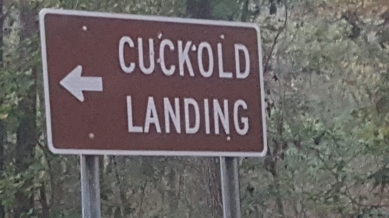 Cuckold Landing