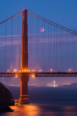 renamonkalou:    Eclipsed by the Bridge | San Francisco |  Vicki Mar   