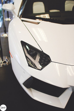 dhylife:  Lamborghini Aventador Roadster by DHY Photography 