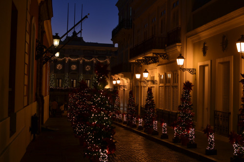 Holiday decorations in Old San Juan, Puerto Rico (2014).