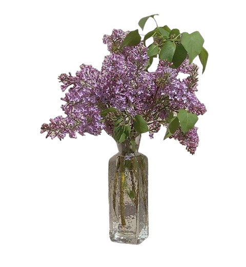 Lillà