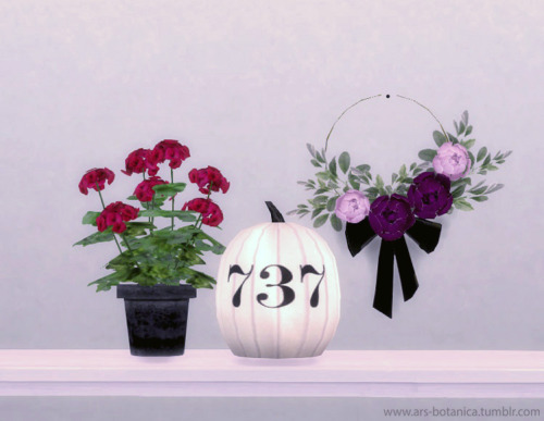 October SetNumbers 1-8 (chrysanthemums) are the same flowers, just different containers. These are p