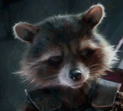 rocket-roquill-raccoon:The only gif that matters from Infinity War.