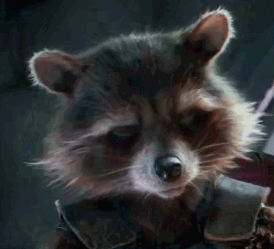 Rocket Raccoon & Pop Culture — The only gif that matters from Infinity War.