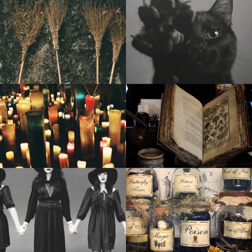 capricorn101: Gemini Halloween costume aesthetics: Witch.