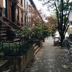 remainsimple:  NYC | Fall (at South Slope, Brooklyn)