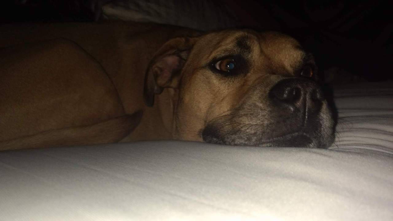 My sweet sleepy daughter ❤️Scoobypuppy