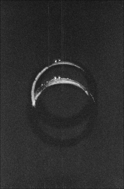 vikikollerova:  The Eclipse, 2014 
