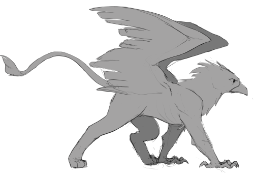 Hey Guys Look At All These Gryphs I Drew